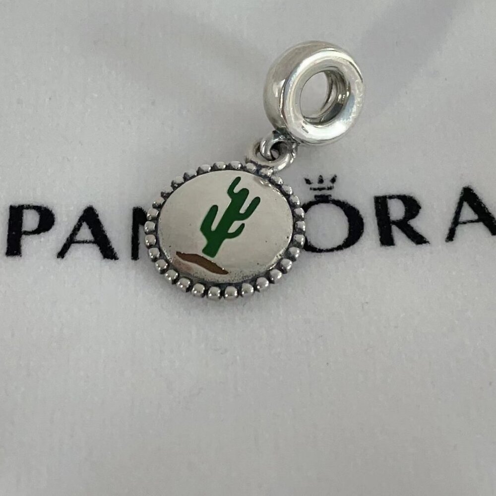 Pandora Cactus Arizona Charm
